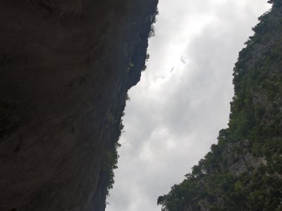 r00242