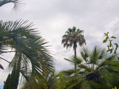 r013
