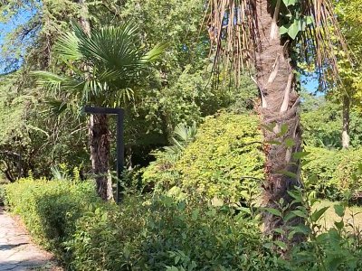 vlcsnap-2026-06-25-16h33m51s968