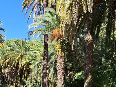 vlcsnap-2026-06-25-16h33m58s762