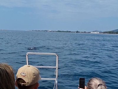 vlcsnap-2026-06-25-16h34m23s612