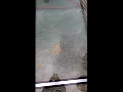 vlcsnap-2026-06-25-16h36m05s678