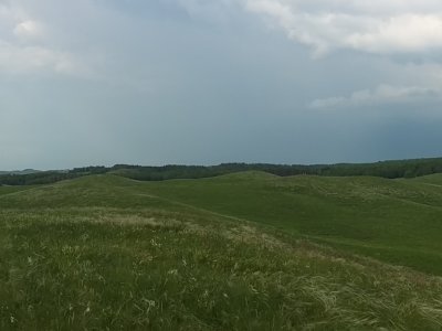 All