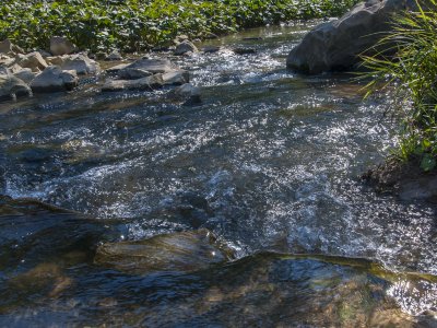 _DSC0380