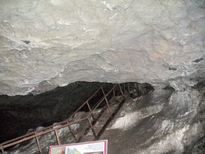 DSCN2597