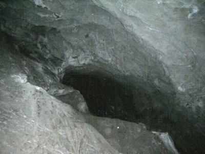 DSCN2599