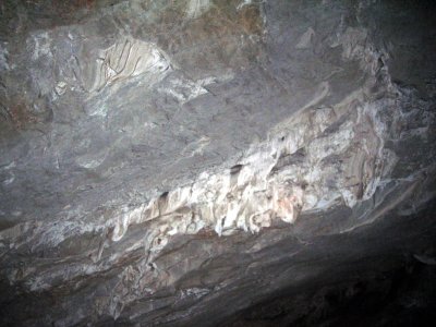 DSCN2603
