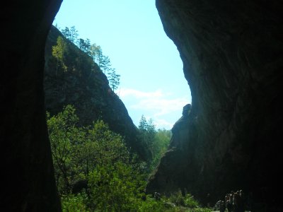 DSCN2621