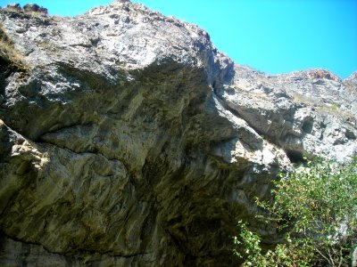 DSCN2628
