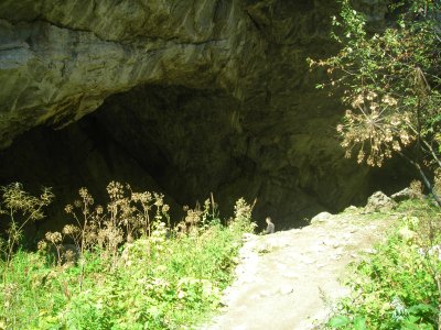 DSCN2629