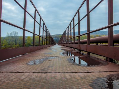_DSC0029