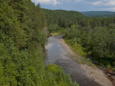 _DSC0155