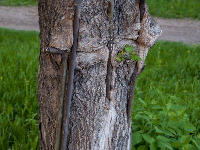 _DSC0348