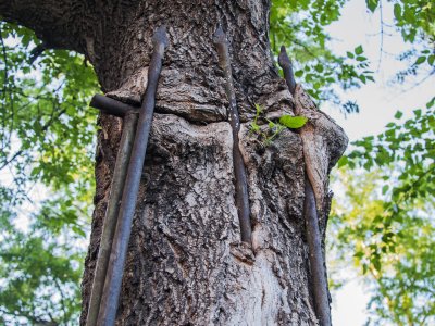 _DSC0353