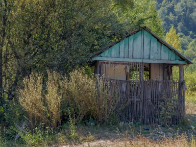 _DSC0389