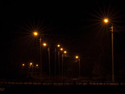 _DSC1117