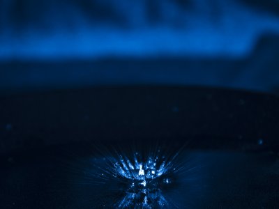 _DSC1694