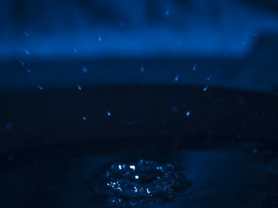 _DSC1698
