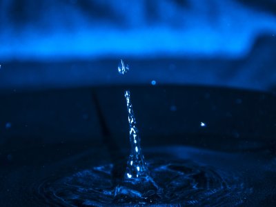 _DSC1702