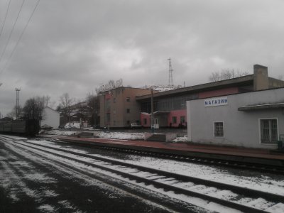 WP_000291