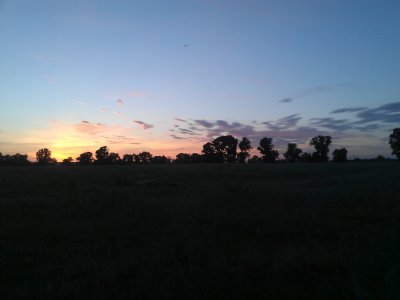 WP_000960