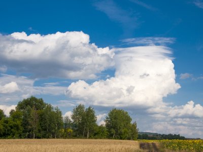 _DSC0018