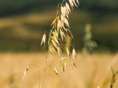 _DSC0116