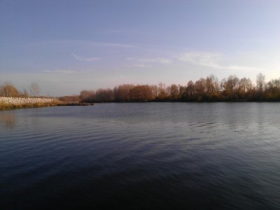 WP_000035